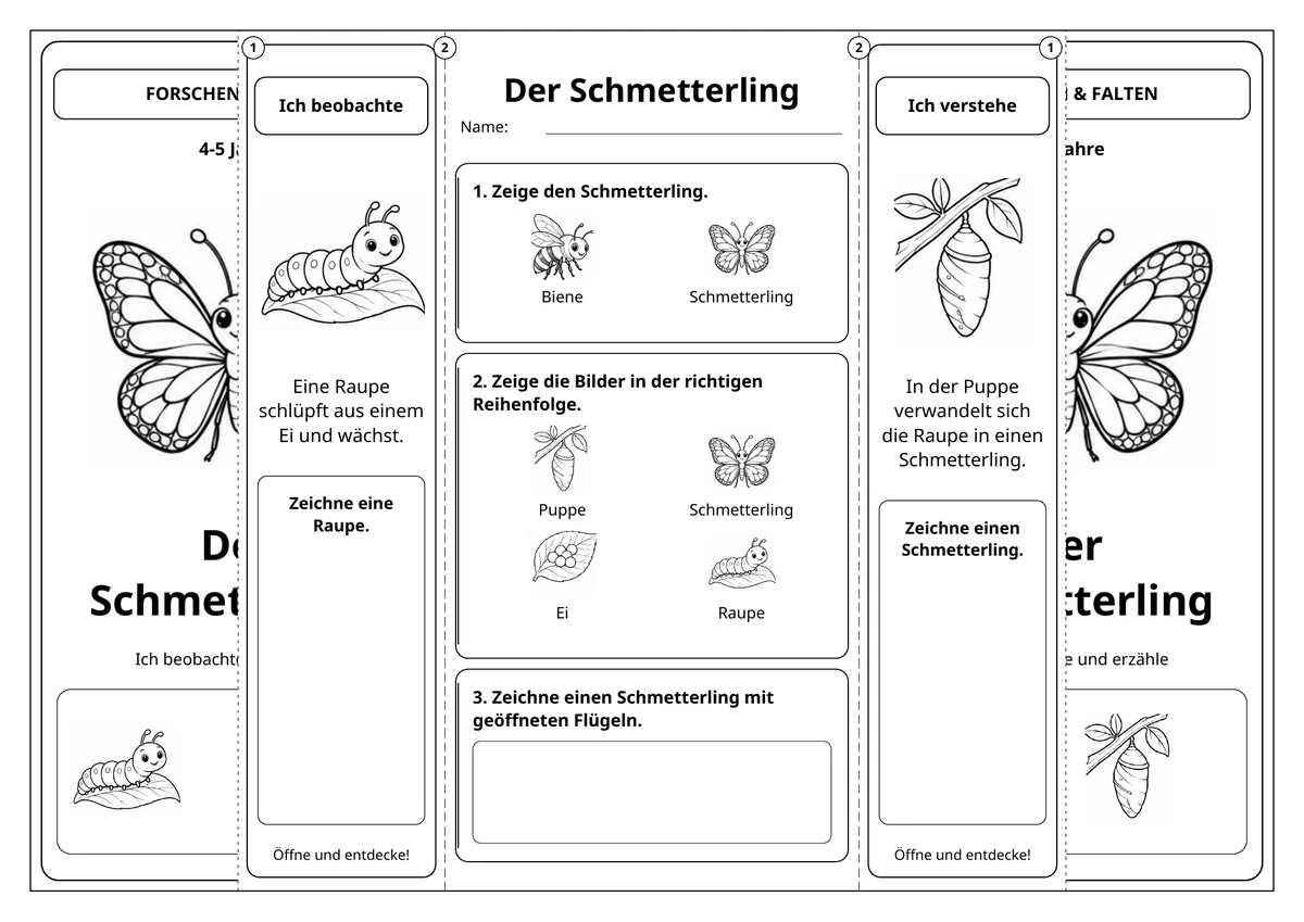 Der Schmetterling: aufgeklappt in Schwarz-Weiß.