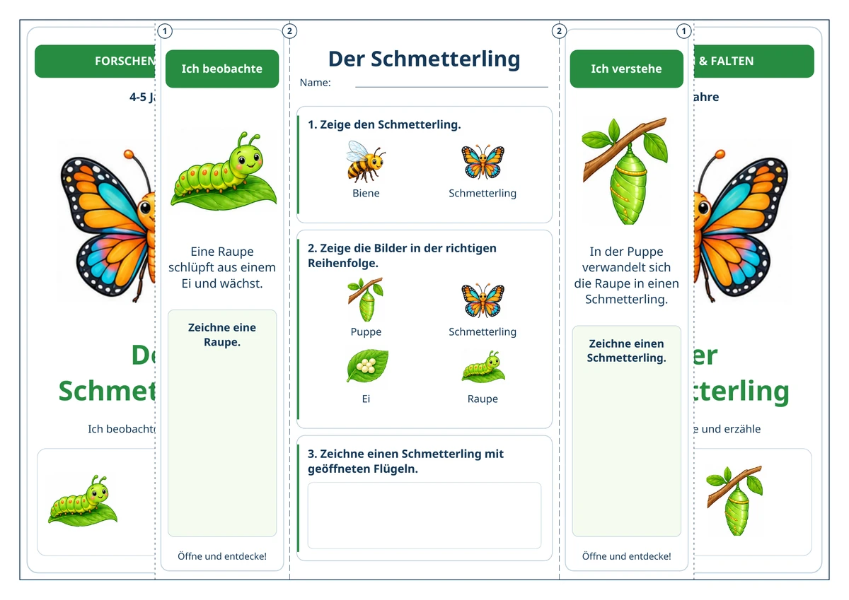 Der Schmetterling: aufgeklappt in Farbe.